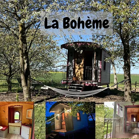 La Boheme Aux Wallabies Pajay