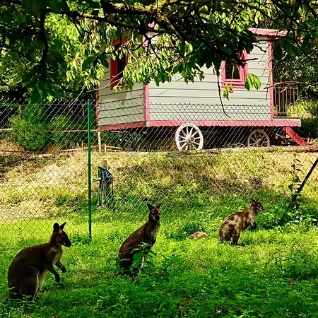 Lüks kamp alanı La Boheme Aux Wallabies Pajay